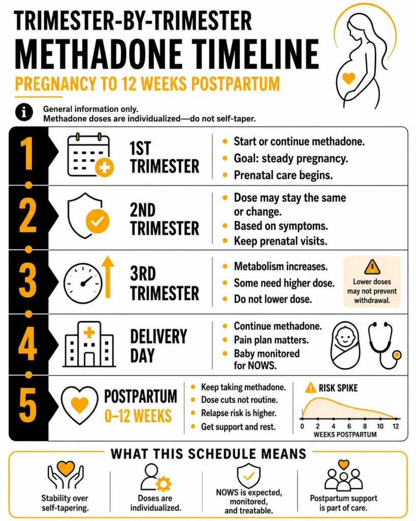 Methadone During Pregnancy