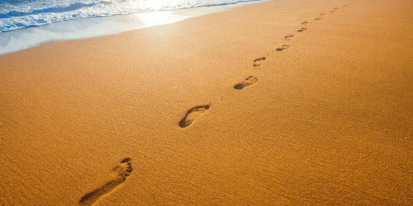 the-importance of-step-1